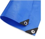 হেভি ডিউটি PE Tarpaulin